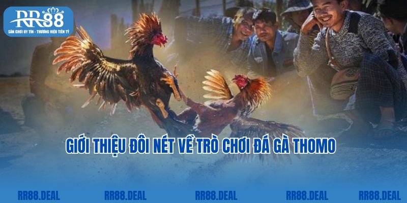 Giới thiệu đôi nét về trò chơi đá gà Thomo